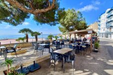 Estudio en Ampolla - Restaurante l`Illa