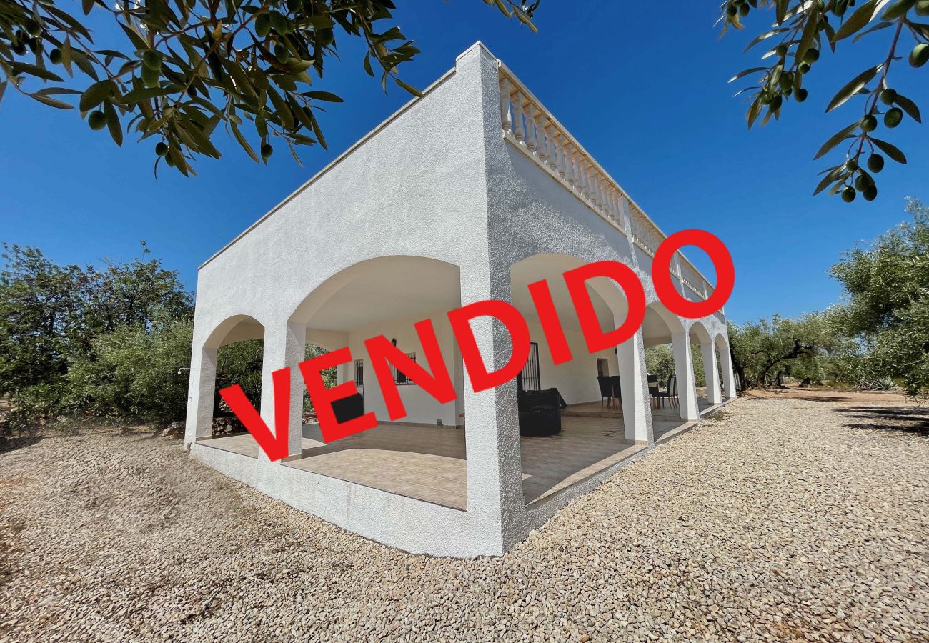 Finca en Ampolla - Finca Nolania