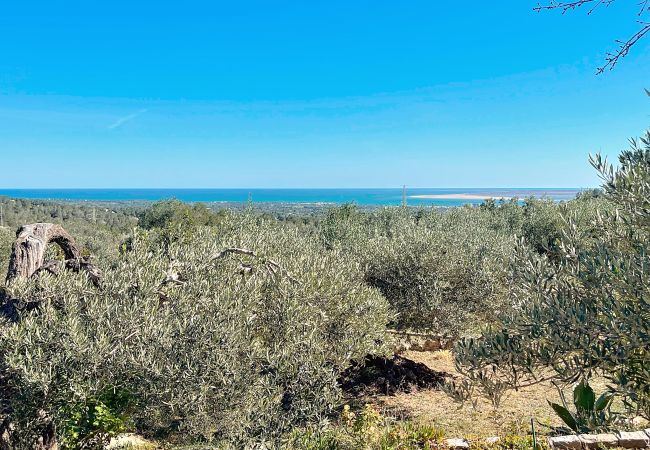 Finca en El Perelló - Finca Panorama Finca en El Perelló - Finca Panorama