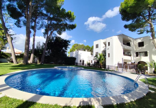 Apartamento en Ametlla de Mar - Apartamento La Cala Apartamento en Ametlla de Mar - Apartamento La Cala