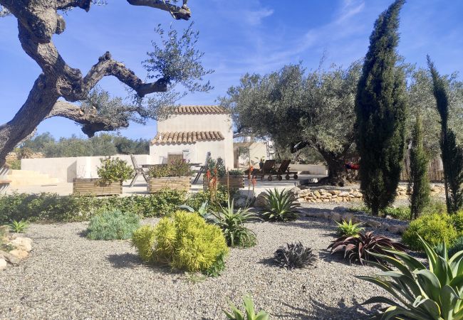 Gîte Rural à L'Aldea - La Casita de La Abubilla Gîte Rural à L'Aldea - La Casita de La Abubilla