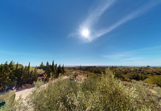 Gîte Rural à Ampolla - La Cochera Gîte Rural à Ampolla - La Cochera