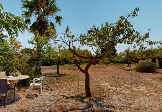 Domaine à Ampolla - Villa Joana Domaine à Ampolla - Villa Joana