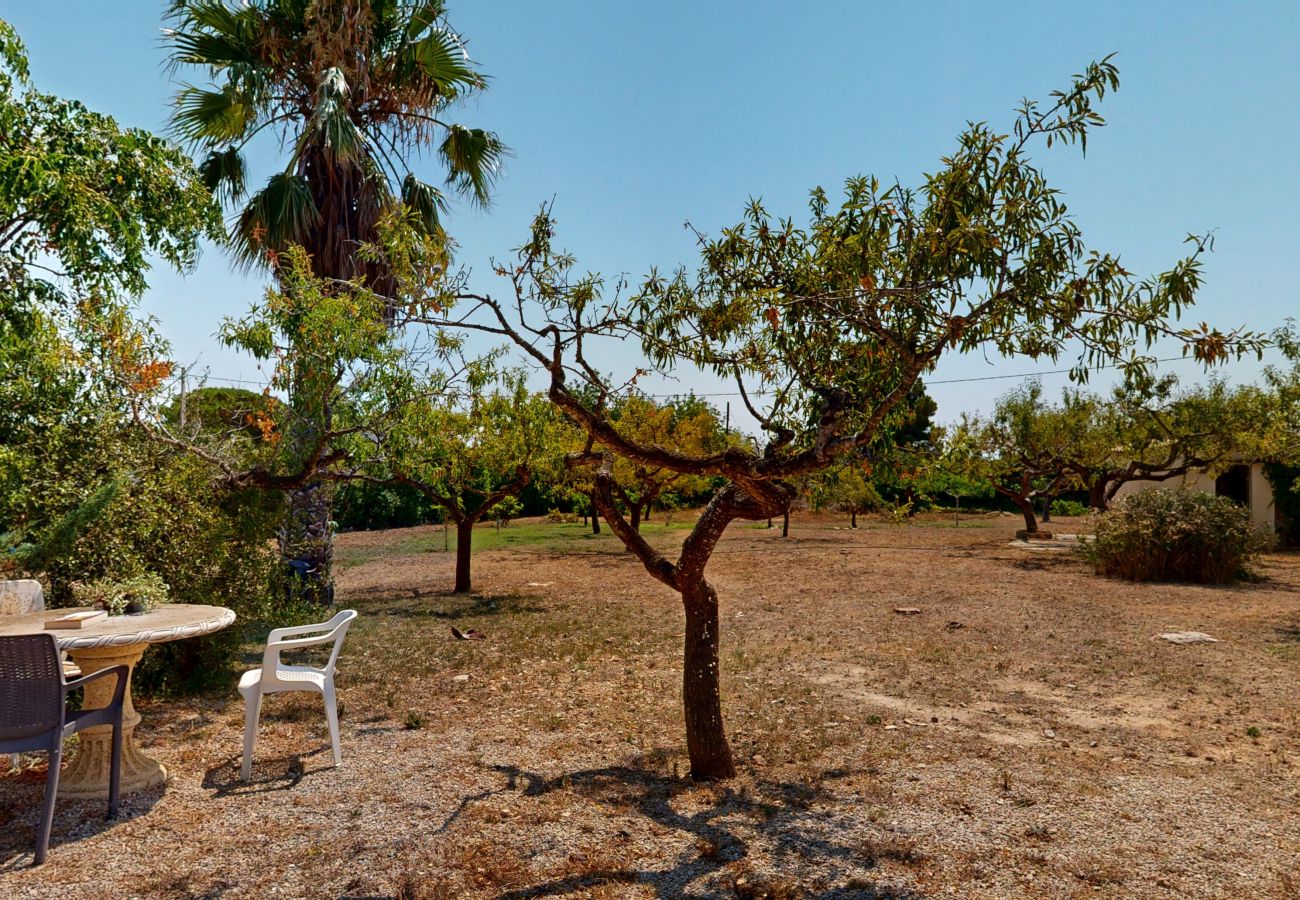 Domaine à Ampolla - Villa Joana Domaine à Ampolla - Villa Joana