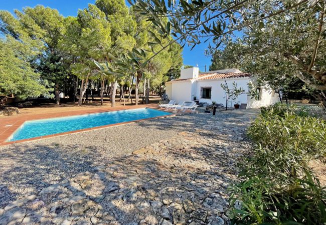 Villa in Ampolla - Villa Pineda Villa in Ampolla - Villa Pineda