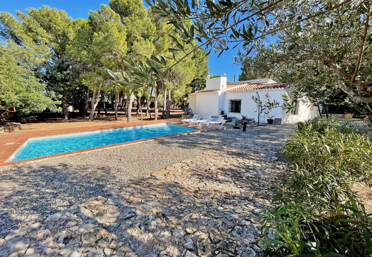 Villa in Ampolla - Villa Pineda Villa in Ampolla - Villa Pineda