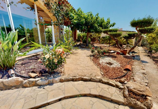 Cottage in Ampolla - La Palmera Cottage in Ampolla - La Palmera