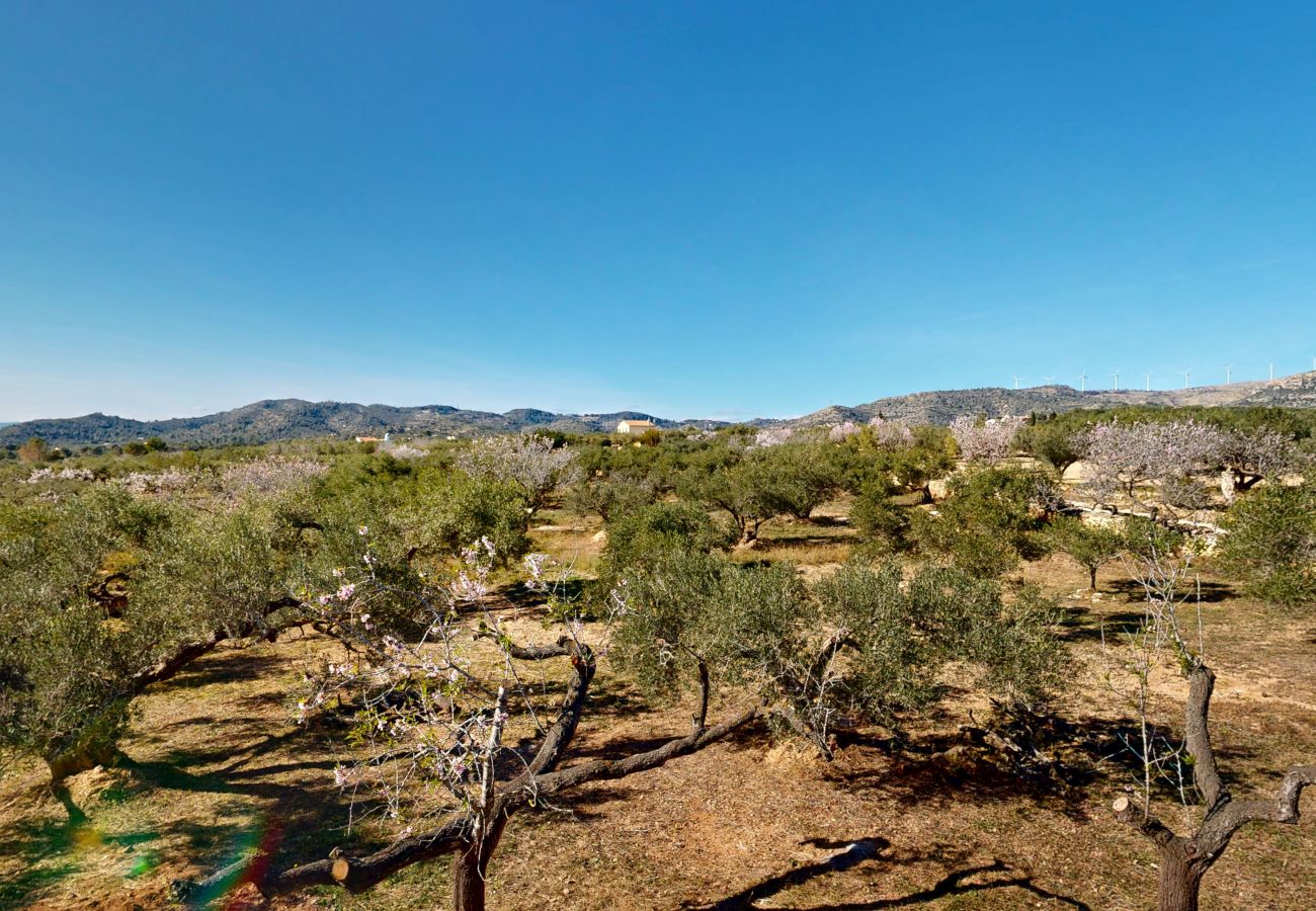 Cottage in L'Aldea - La Casita de La Abubilla Cottage in L'Aldea - La Casita de La Abubilla