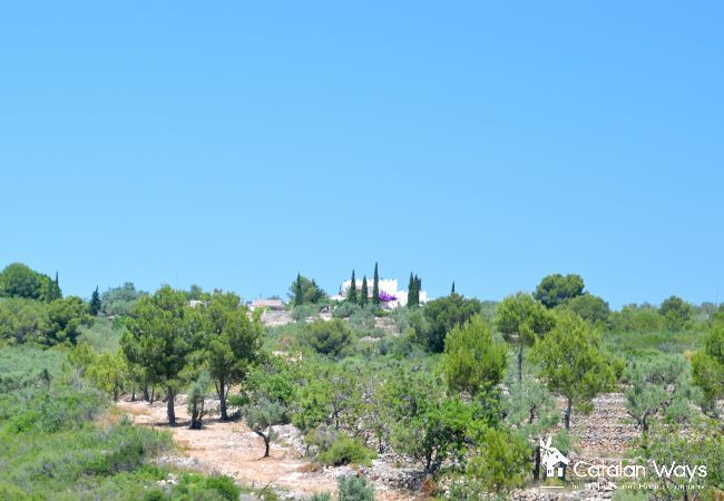 Cottage in Ampolla - The Little Castle Cottage in Ampolla - The Little Castle