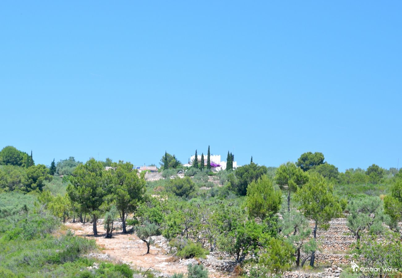 Cottage in Ampolla - The Little Castle Cottage in Ampolla - The Little Castle