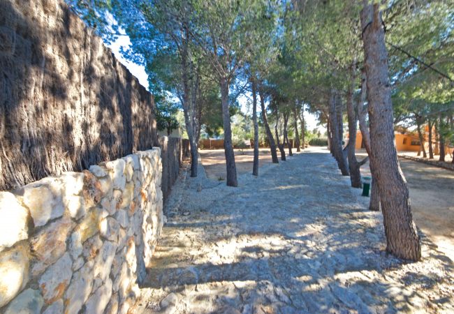 Вилла на Ampolla - Villa Pineda Вилла на Ampolla - Villa Pineda