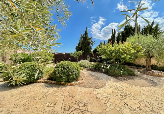 Коттедж на Ampolla - Finca Elenora Коттедж на Ampolla - Finca Elenora