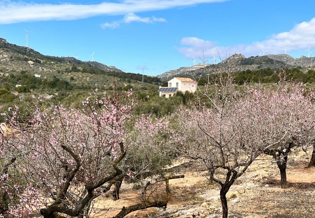 Коттедж на Tortosa - Casa Ecológica El Ginjol Коттедж на Tortosa - Casa Ecológica El Ginjol