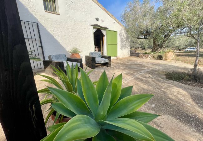 Коттедж на Tortosa - Casa Ecológica El Ginjol Коттедж на Tortosa - Casa Ecológica El Ginjol