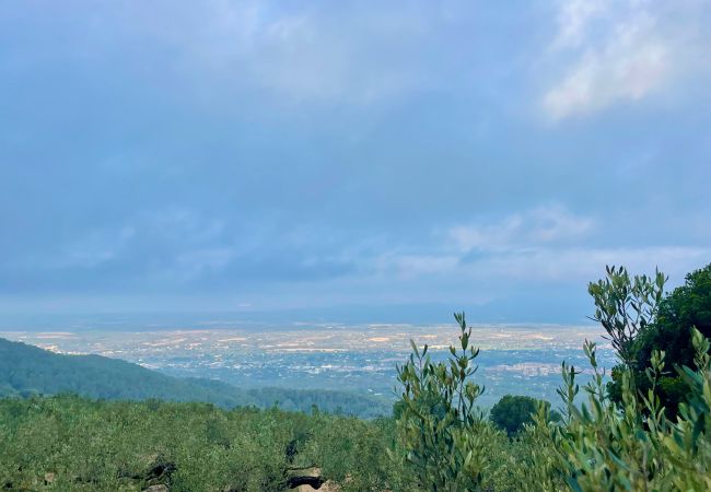 Особняк на Tortosa - Finca las 2 casas Особняк на Tortosa - Finca las 2 casas