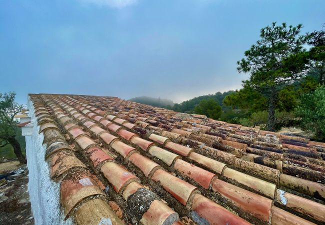 Особняк на Tortosa - Finca las 2 casas Особняк на Tortosa - Finca las 2 casas