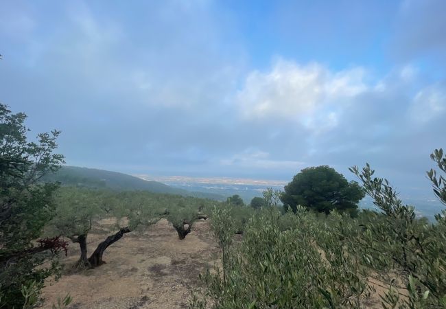 Особняк на Tortosa - Finca las 2 casas Особняк на Tortosa - Finca las 2 casas