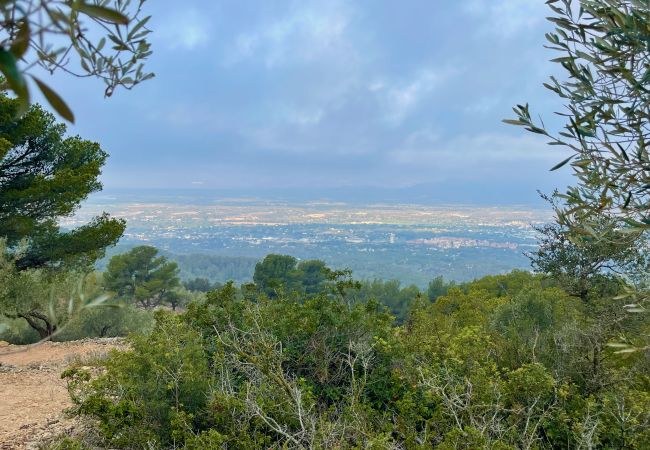 Особняк на Tortosa - Finca las 2 casas Особняк на Tortosa - Finca las 2 casas