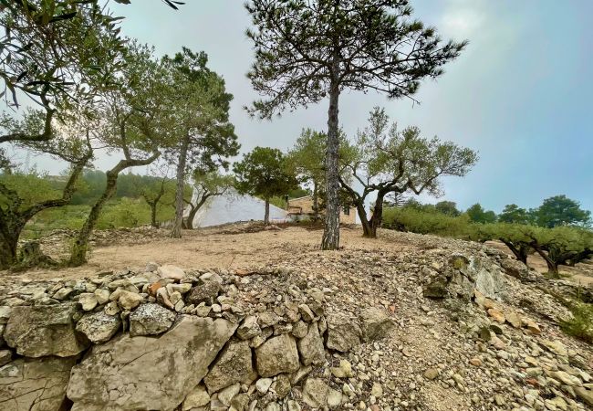 Особняк на Tortosa - Finca las 2 casas Особняк на Tortosa - Finca las 2 casas