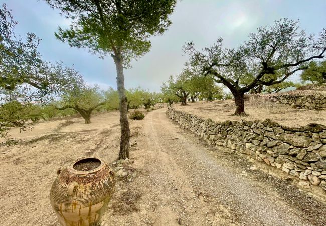 Особняк на Tortosa - Finca las 2 casas Особняк на Tortosa - Finca las 2 casas