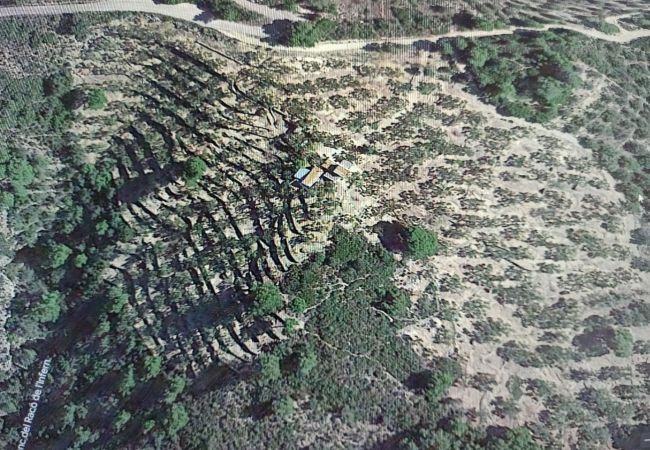 Особняк на Tortosa - Finca las 2 casas Особняк на Tortosa - Finca las 2 casas