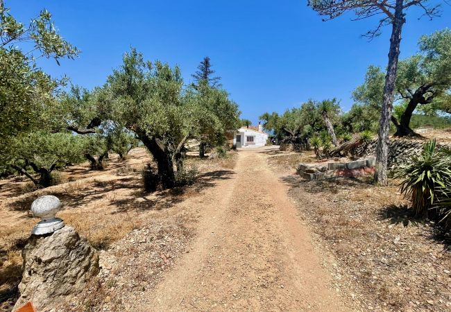 Особняк на Tortosa - Finca las 2 casas Особняк на Tortosa - Finca las 2 casas