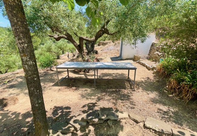 Особняк на Tortosa - Finca las 2 casas Особняк на Tortosa - Finca las 2 casas