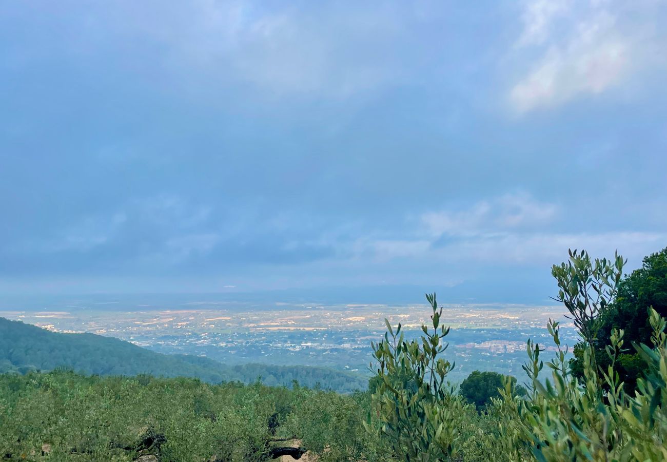 Особняк на Tortosa - Finca las 2 casas Особняк на Tortosa - Finca las 2 casas