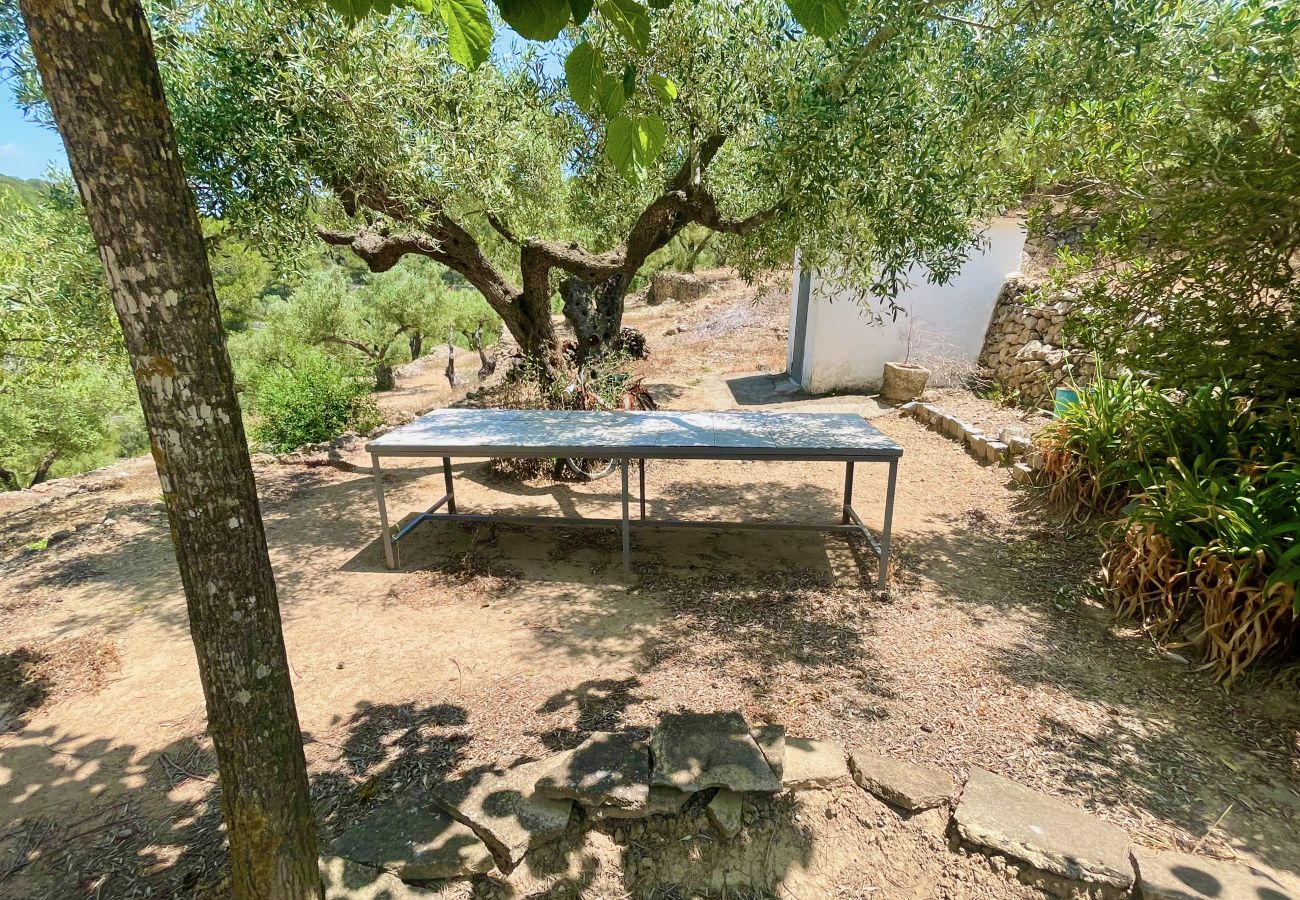 Особняк на Tortosa - Finca las 2 casas Особняк на Tortosa - Finca las 2 casas