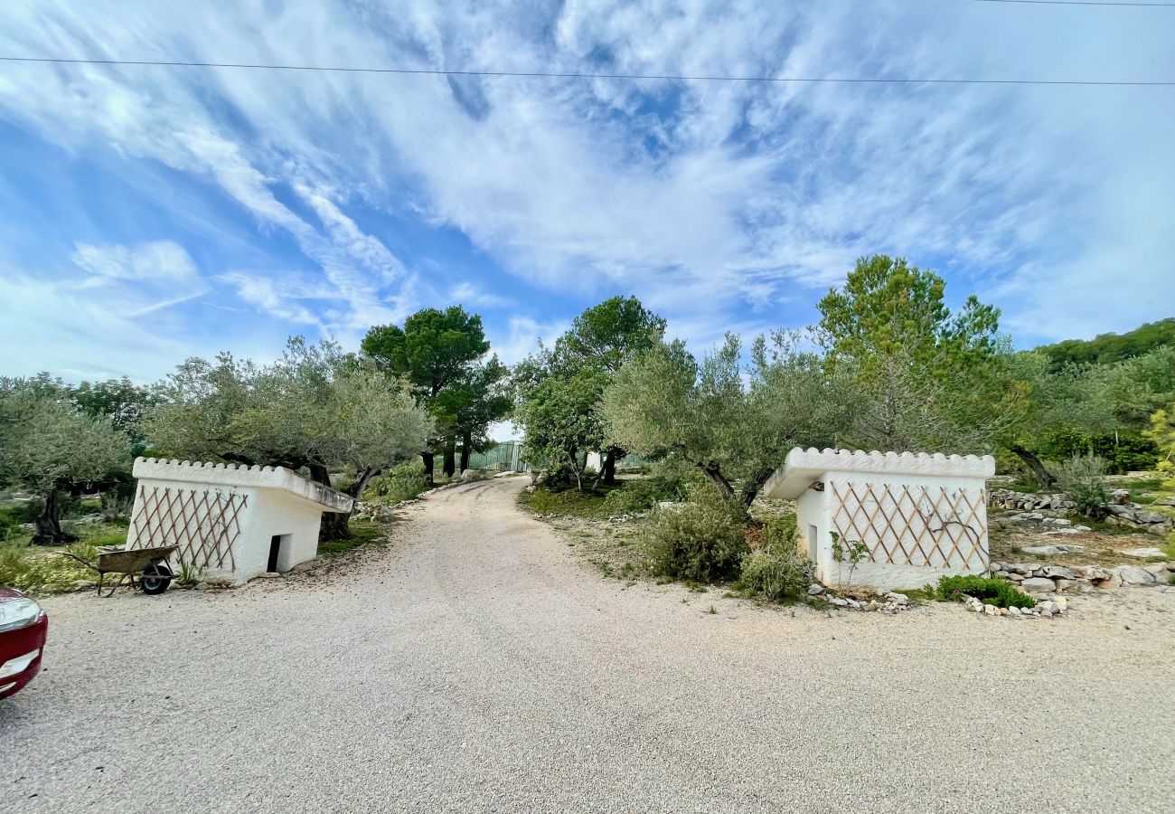 Особняк на El Perelló - Finca Aguila Особняк на El Perelló - Finca Aguila