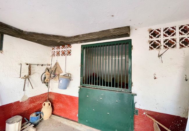 Особняк на El Perelló - El Huerto de los Jinetes Особняк на El Perelló - El Huerto de los Jinetes