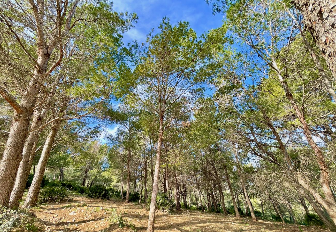 Особняк на El Perelló - El Huerto de los Jinetes Особняк на El Perelló - El Huerto de los Jinetes