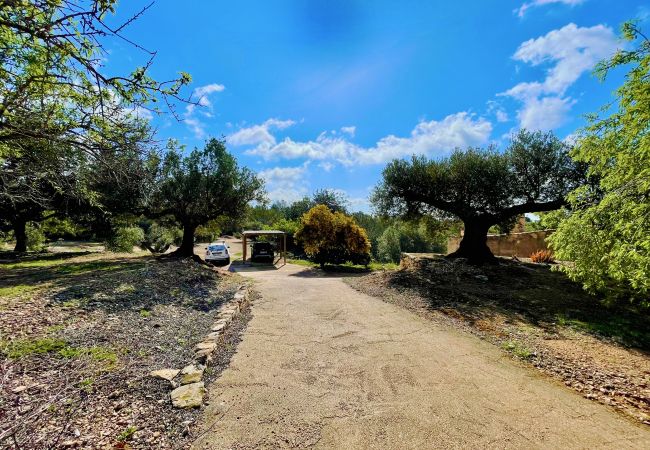 Особняк на Tortosa - Finca del Escritor Особняк на Tortosa - Finca del Escritor