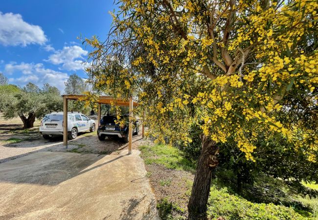 Особняк на Tortosa - Finca del Escritor Особняк на Tortosa - Finca del Escritor