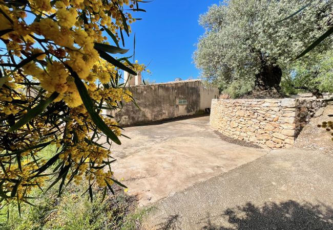 Особняк на Tortosa - Finca del Escritor Особняк на Tortosa - Finca del Escritor