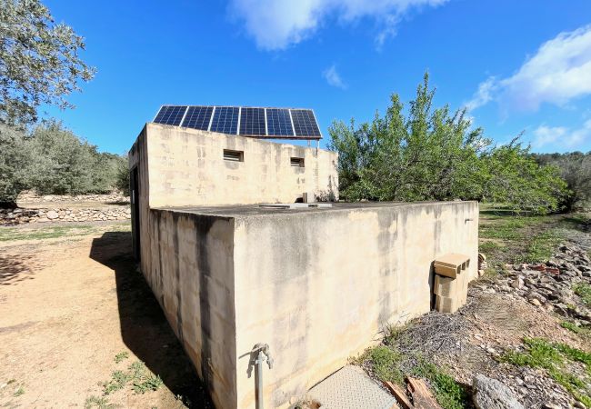 Особняк на Tortosa - Finca del Escritor Особняк на Tortosa - Finca del Escritor