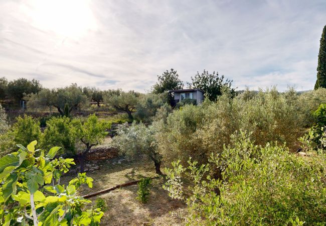 Особняк на L'Aldea - Villa Buda Особняк на L'Aldea - Villa Buda