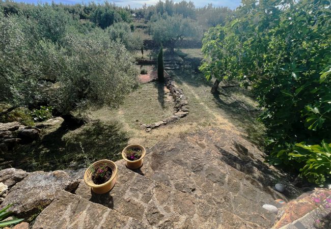 Особняк на L'Aldea - Villa Buda Особняк на L'Aldea - Villa Buda