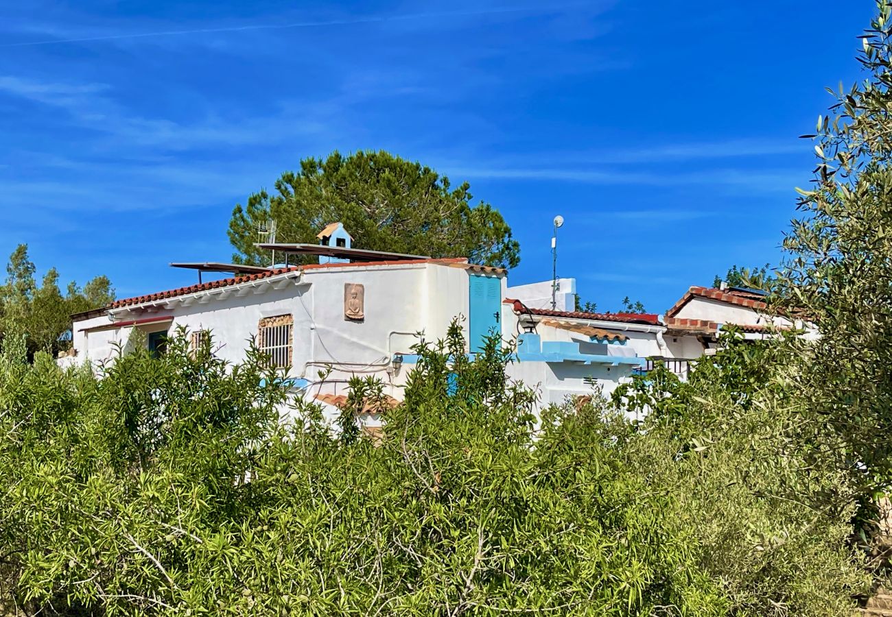 Особняк на L'Aldea - Villa Buda Особняк на L'Aldea - Villa Buda