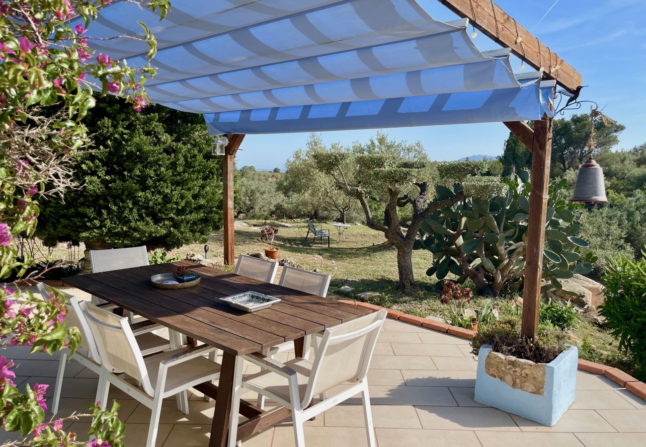 Особняк на L'Aldea - Villa Buda Особняк на L'Aldea - Villa Buda