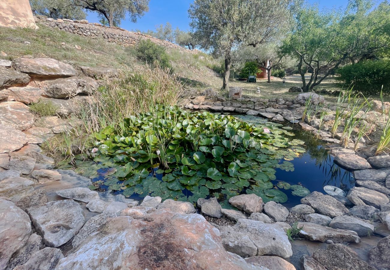 Особняк на L'Aldea - Villa Buda Особняк на L'Aldea - Villa Buda