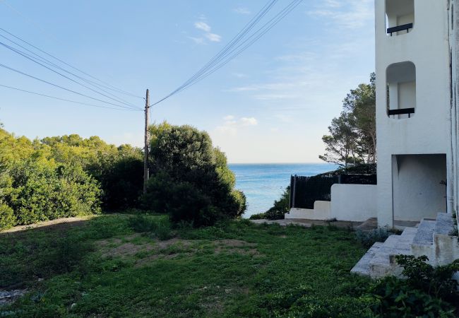 Апартаменты на Ametlla de Mar - Apartamento La Cala Апартаменты на Ametlla de Mar - Apartamento La Cala