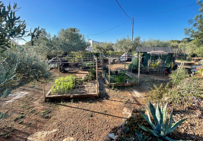 Country house in Ampolla - Finca La Cala Country house in Ampolla - Finca La Cala