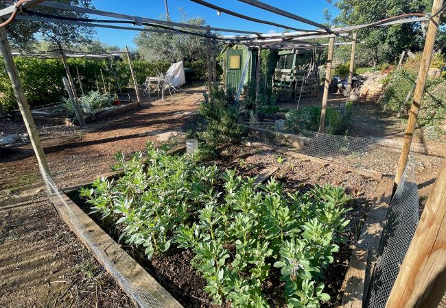 Country house in Ampolla - Finca La Cala Country house in Ampolla - Finca La Cala