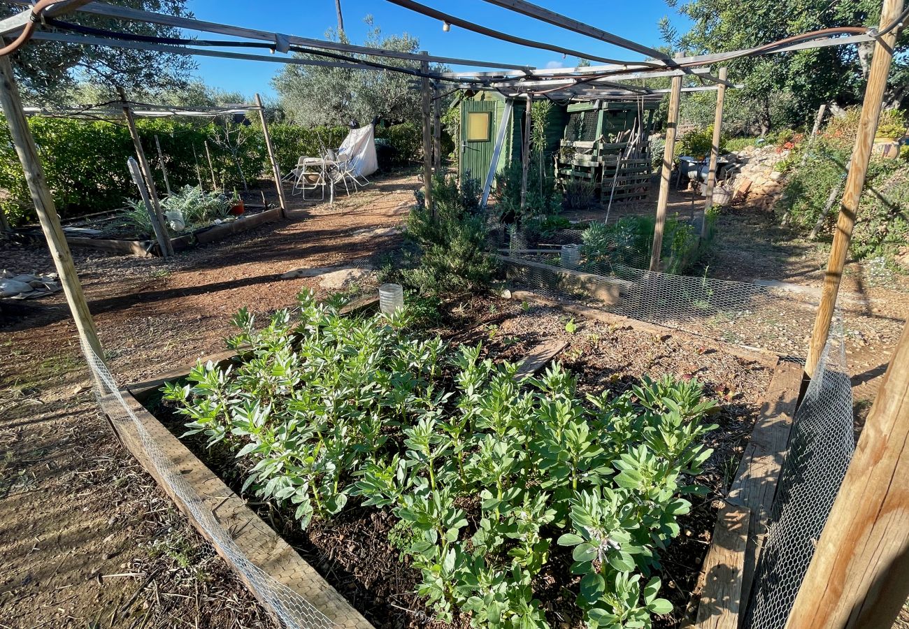 Country house in Ampolla - Finca La Cala Country house in Ampolla - Finca La Cala