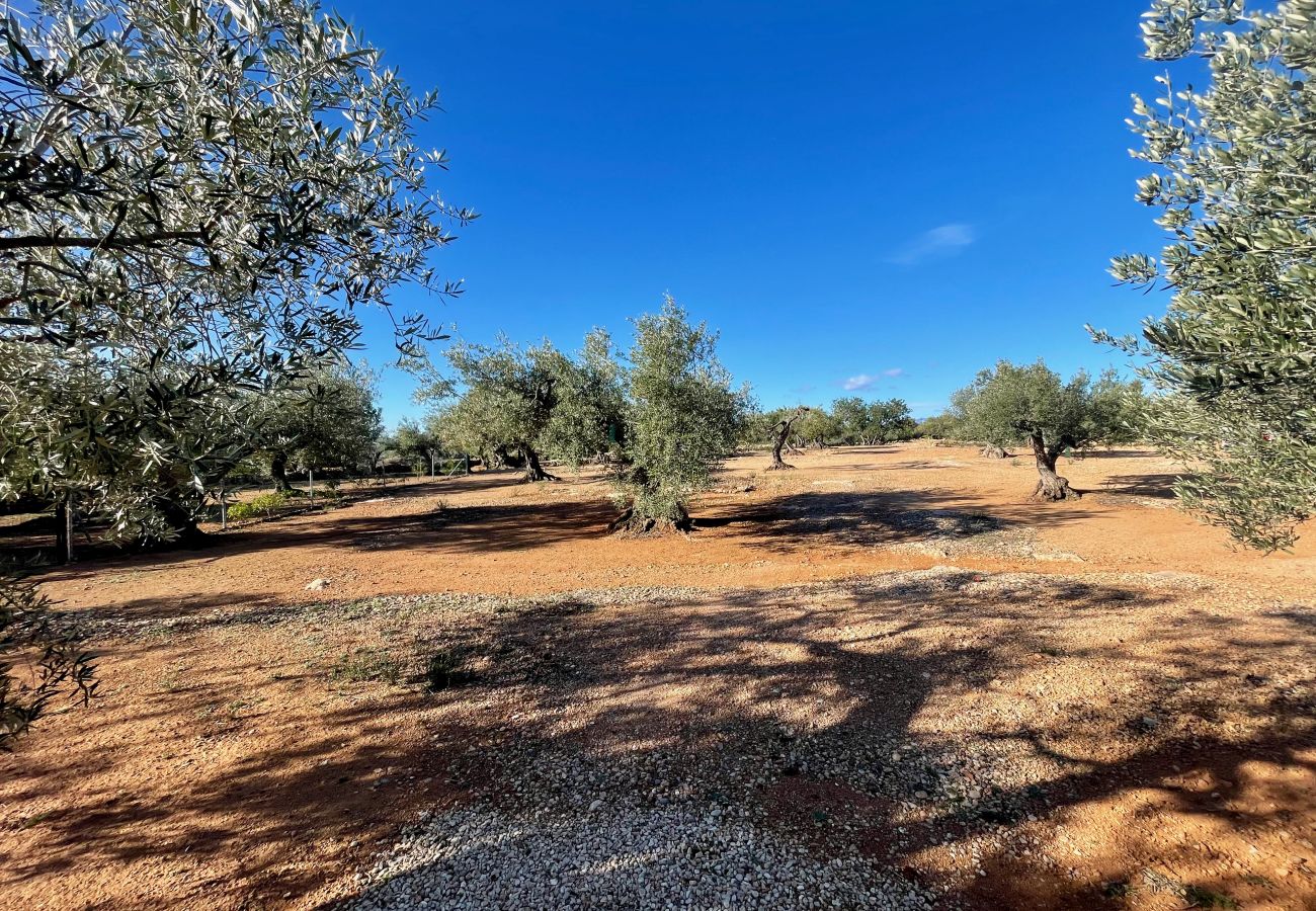 Country house in Ampolla - Finca La Cala Country house in Ampolla - Finca La Cala