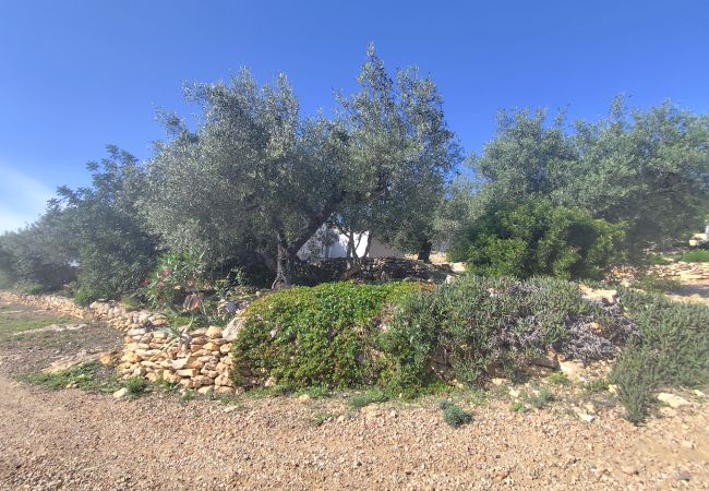 Country house in El Perelló - Finca Punt Country house in El Perelló - Finca Punt