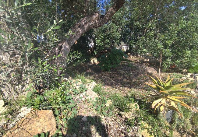 Country house in El Perelló - Finca Punt Country house in El Perelló - Finca Punt