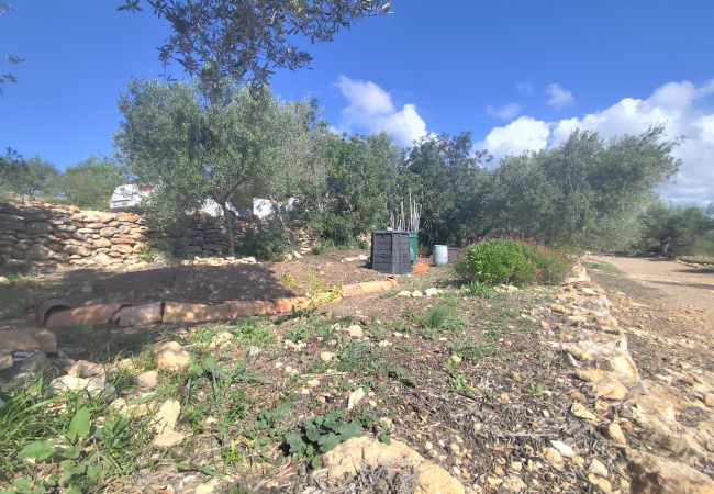 Country house in El Perelló - Finca Punt Country house in El Perelló - Finca Punt