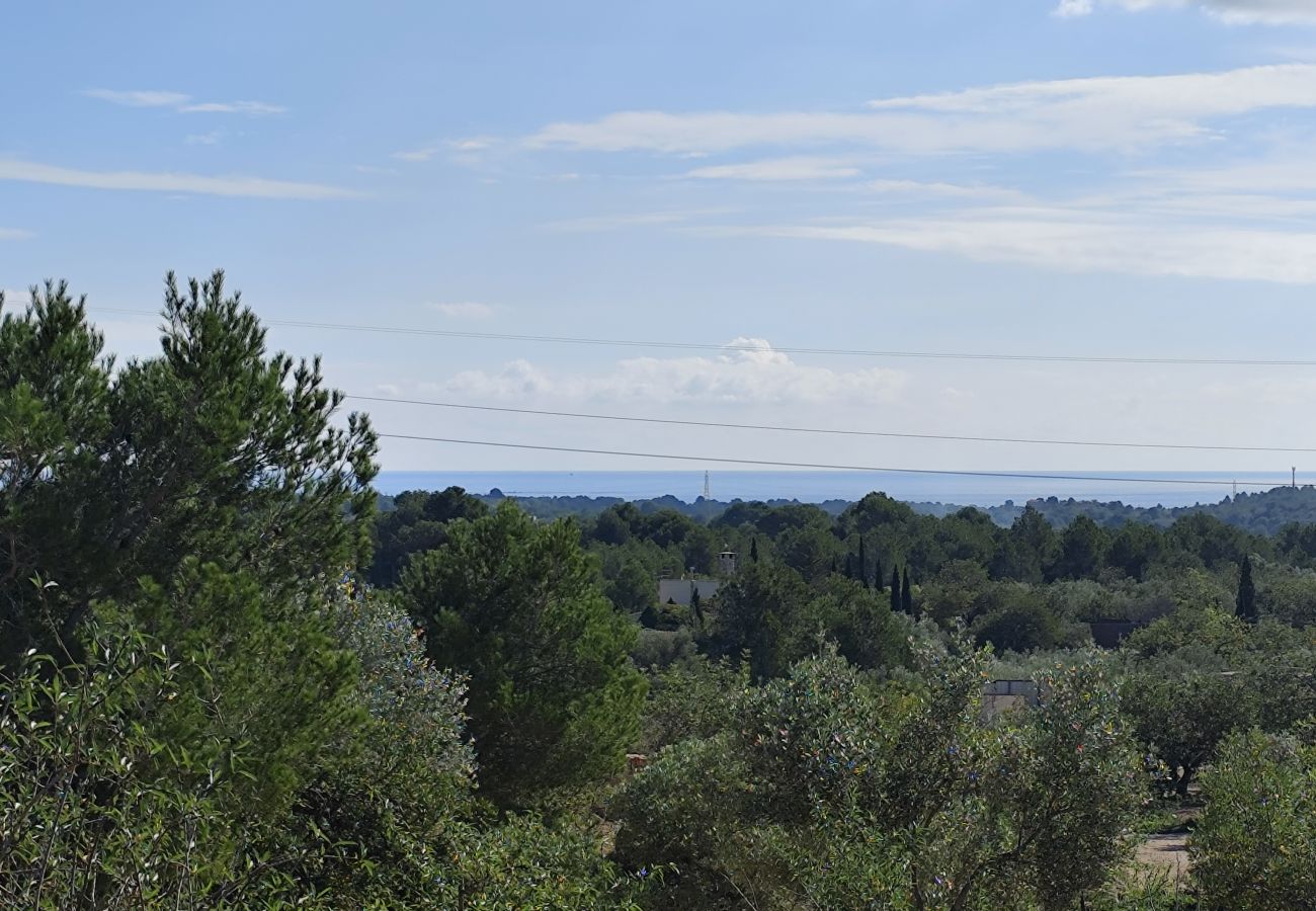 Country house in El Perelló - Finca Punt Country house in El Perelló - Finca Punt